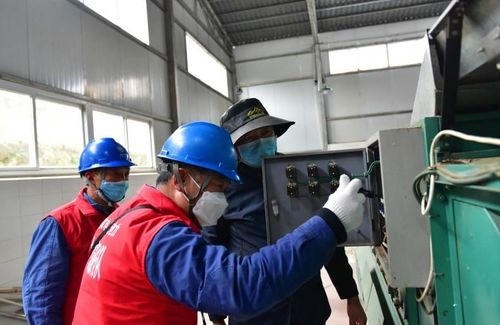 電力先行護航春茶香，國網廣元715名臺區經理“駐廠進村”激活鄉村振興新動能