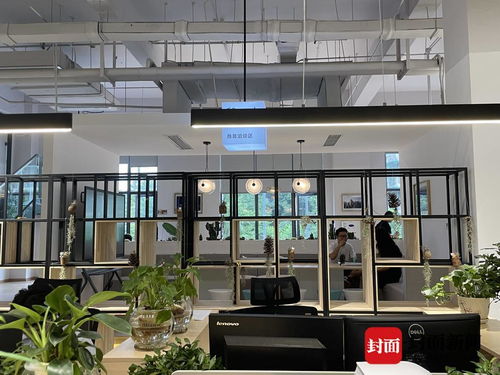 探訪成都金牛“雙中心” 這個(gè)極具設(shè)計(jì)感的服務(wù)空間，如何重塑咨詢與策劃體驗(yàn)？